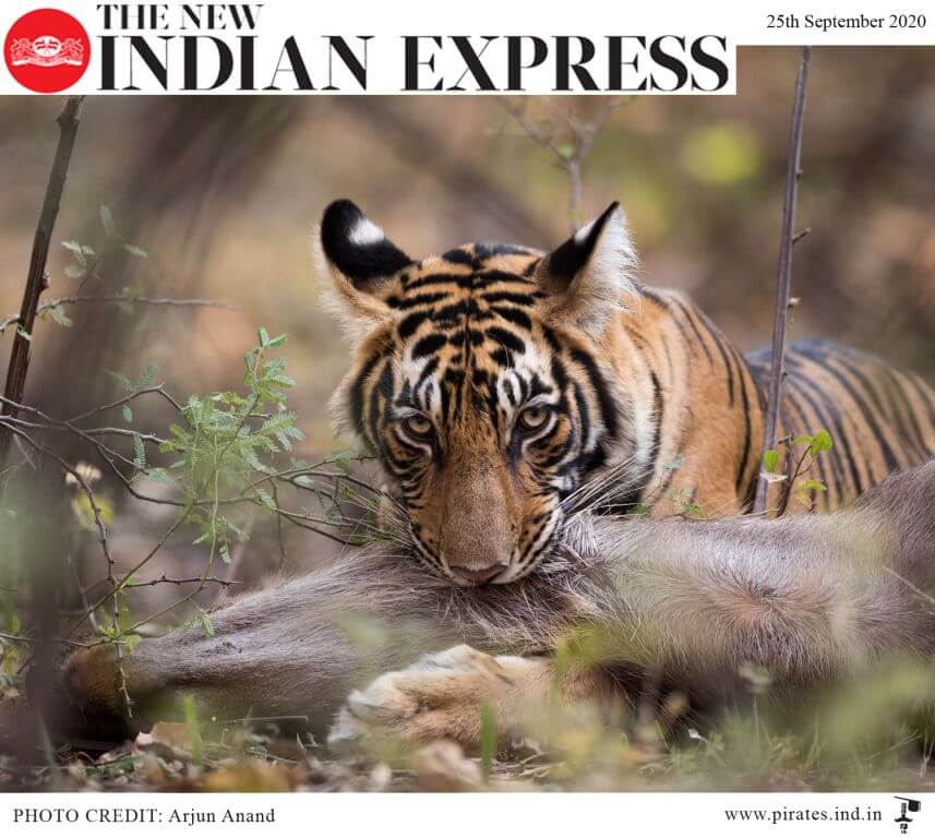 the new indian express